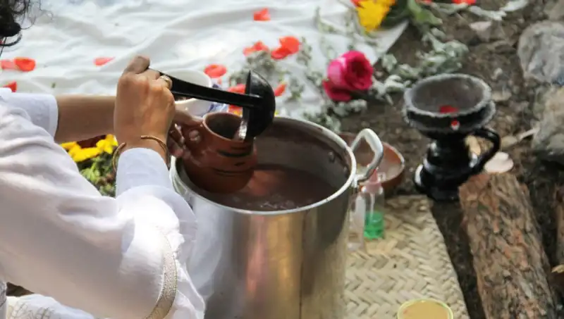 Ayahuasca: Gizemli Şifalı İçecek Hakkında Bilmeniz Gereken Her Şey