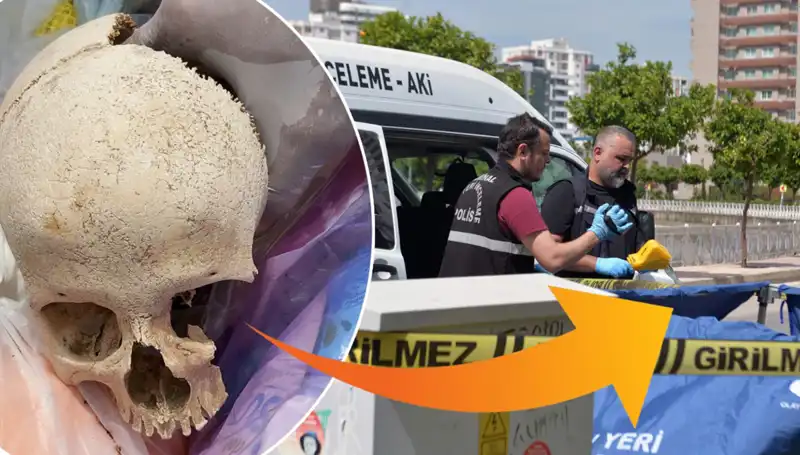 Sitenin Çöpünden Kafatası Bulundu: Uzman Doktor Gözaltında!