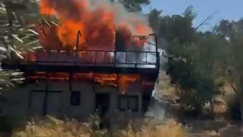 Bodrum'da Korkutan Yangın Alarmı: Ekipler Seferber Oldu