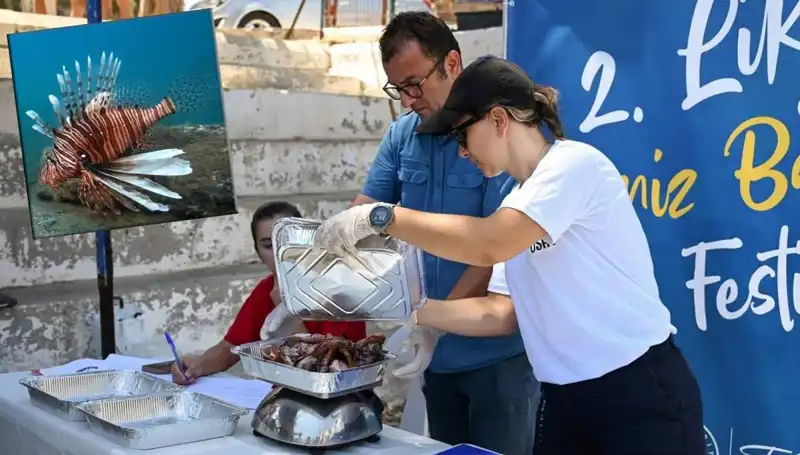 Antalya'da İstilacı Aslan Balığı Avlama Yarışması: Doğa İçin Bir Mücadele