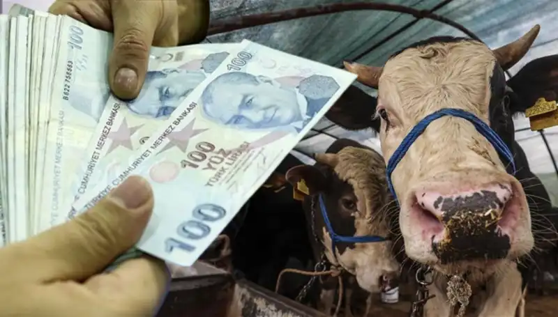 Memur ve Emekli Maaşları Bayramdan Önce Ödenecek mi? Bilgi Geldi!