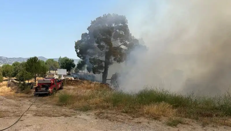 Muğla’da Orman Yangını: Doğa ve Yaşam Tehdit Altında