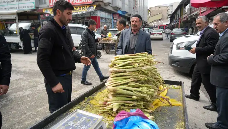 Dağlık Alanda Yetişen Şekerin Sağlık Faydaları: Kanser ve Mide Hastalıklarına Karşı Etkisi