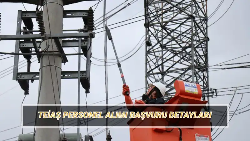 TEİAŞ Personel Alımı Başvuru Tarihleri ve Şartları Hakkında Bilmeniz Gerekenler