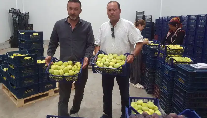 Mersinli Çiftçiler için Yeni Umut: Tarımda İhracat Fırsatları Artıyor