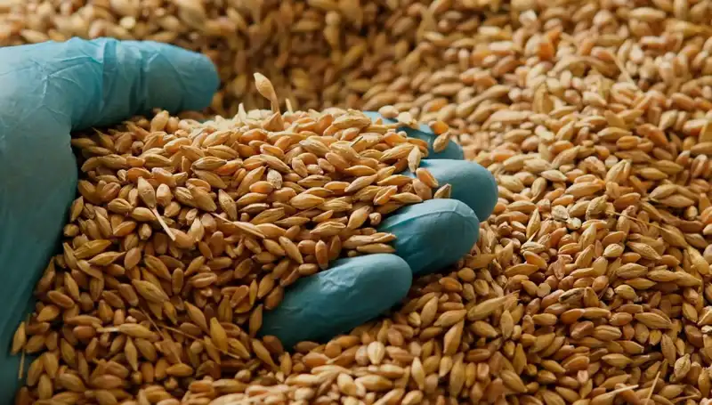 Kalp Hastalığı Riskini Azaltan Beslenme Alışkanlıkları: Uzmanından Öneriler