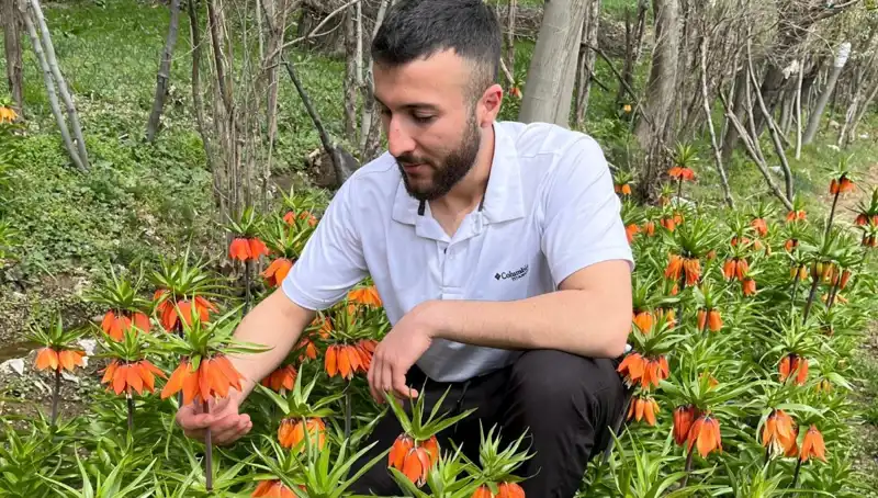 Ağlayan Gelin: Eşsiz Güzellikleriyle 20 Günlük Bir Varlık