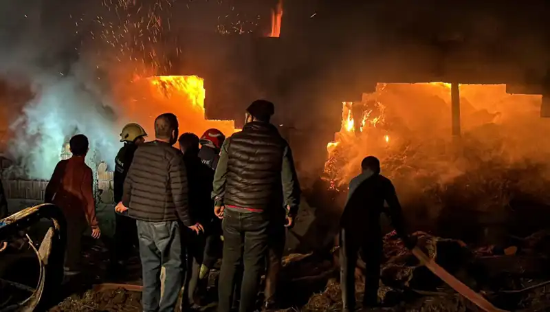 Bolu'da Meydana Gelen Ahır Yangını Korku Dolu Anlar Yaşattı