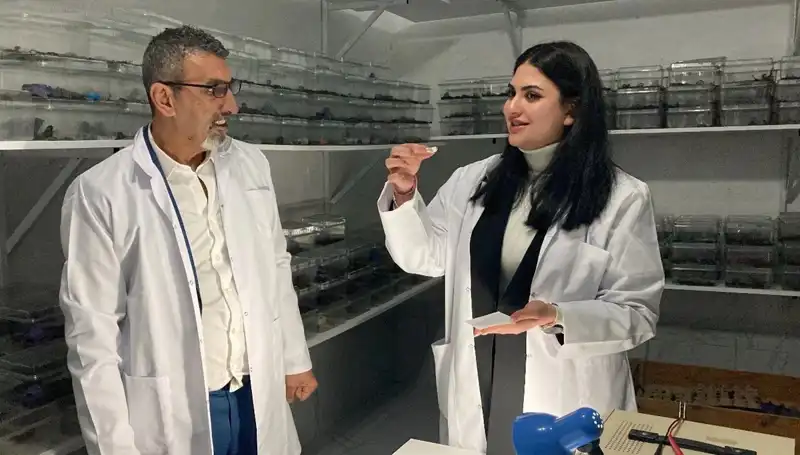 Akrep Zehriyle Şeker: Cesur Bir Lezzet Deneyimi!