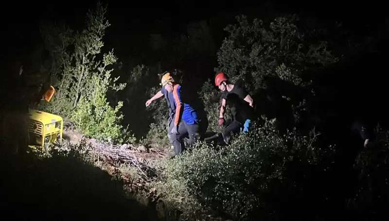 Define Arayışı Hayatlarını Tehdit Etti: Şok Edici Olayın Detayları