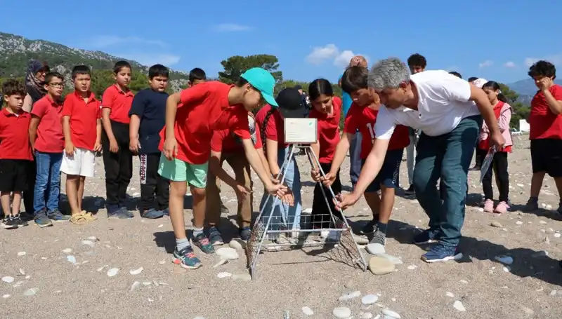 Kemer'de Caretta Caretta Koruma Yasakları Başladı: Deniz Tutar Mı?