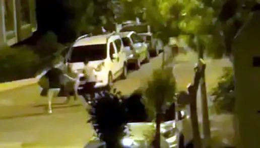 Avcılar’da Sıra Dışı Olay: 3 Kişinin Saldırdığı Vatandaşı Kurtaran Kahramanlar