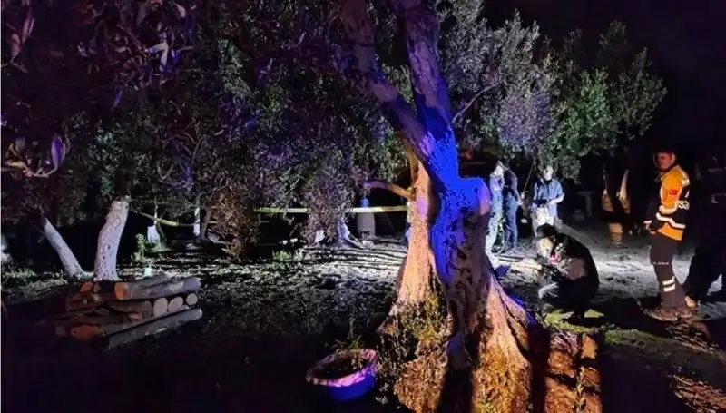 Çiftlikteki Baltalı Vahşet Olayında İlk Tutuklama Gerçekleşti