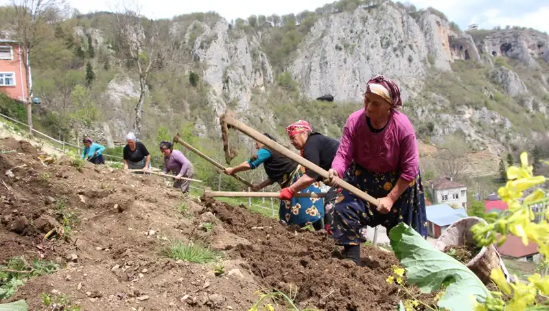 Zorlu Mesai Başladı: Sepet ve Kazmalarla İş Hayatında Yeni Dönem