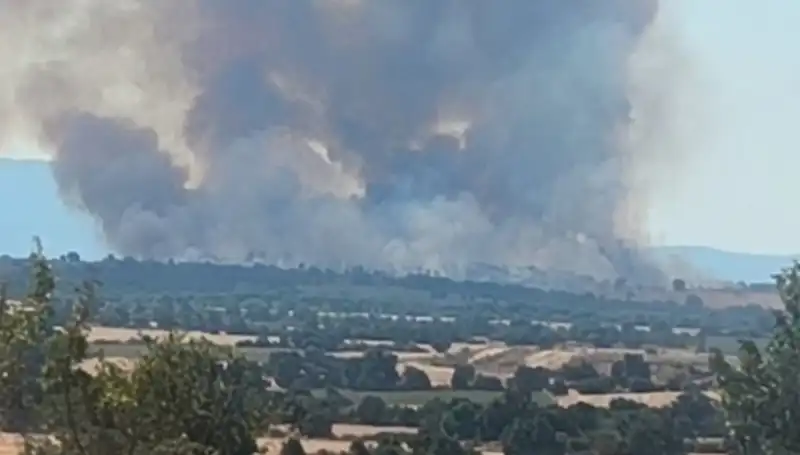 Komşu Orman Yangını Edirne'yi Tehdit Ediyor: Neden ve Ne Olacak?