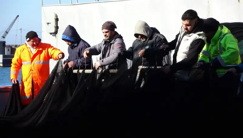 Denizlerde Hamsi Avı Sonlandı: Tekneler Erken Dönüş Yollarına Düştü