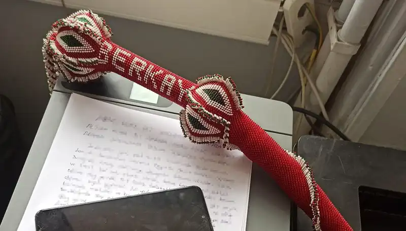 Kırbaçlı Saldırganlardan Kaçarken Canını Tehlikeye Attı: Bir Hayatta Kalma Mücadelesi