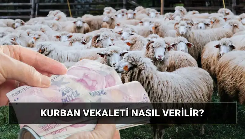 Vekaletle Kurban Kesiminde Dikkat Edilmesi Gerekenler ve Diyanet’in 2025 Bedeli