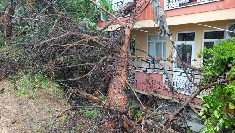 Yağmur Felaketi: Bina Çöktü, Gözler Olay Yerindeydi
