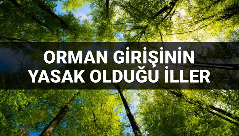 Orman Girişine Yasaklanan İller: 2025’te Neyin Değiştiğini Öğrenin