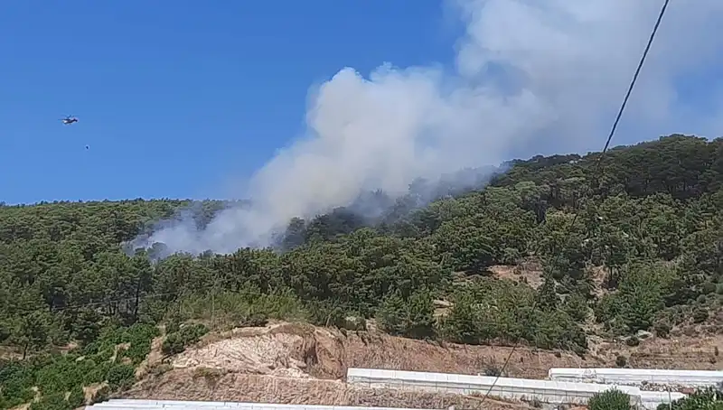 Kumluca’da Korkutan Orman Yangını: Ekipler Seferber Oldu