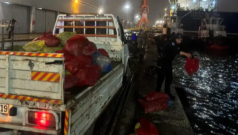 Kaçak Midyeler Türkiye’nin Gözde Plajlarında Ele Geçirildi!
