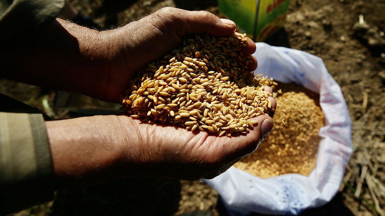 Ata Tohumları Tarım Kredi Marketlerinde Raflarda