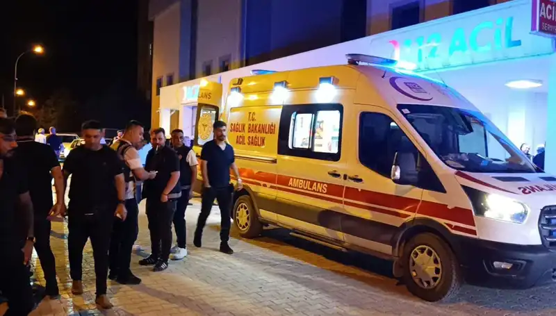 Kardeşini Koruyayım Derken Hayatını Kaybeden Genç: Acı Hikaye