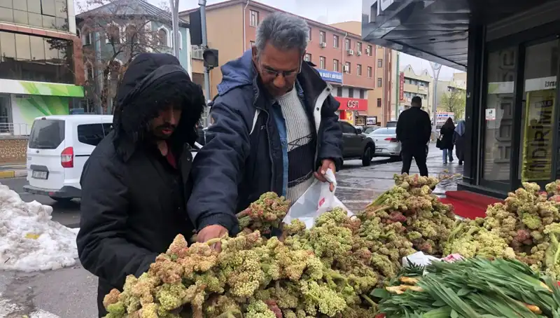 Kendiliğinden Yetişen Vitamin Deposunun Sağlığa Faydaları: Kanserle Mücadelede Yeni Umut