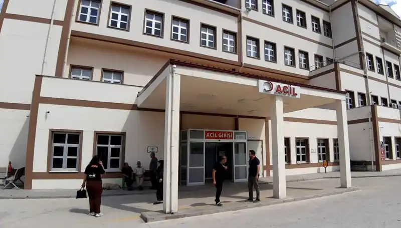 Bolu'da Ayı Avına İzin Verilmesi: Doğa Koruma Tartışmaları Tırmanıyor