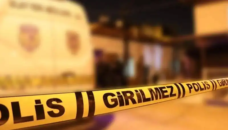 Diyarbakır'da Kayınpeder Cinayeti: Korkunç Olayın Ardındaki Gerçekler