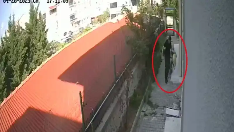 Veteriner Doktor Çok Tartışılacak Suçla Gözaltına Alındı: Hayvanlara Acımasız İşkence