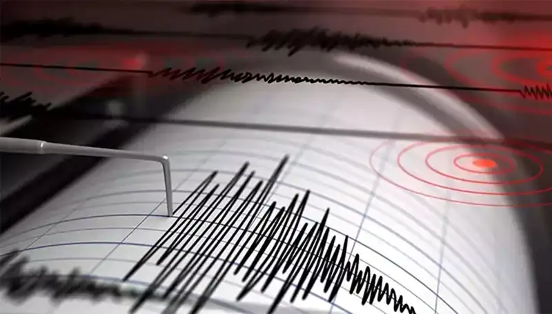 Bodrum'da Şiddetli Deprem: 4,1 Büyüklüğündeki Sarsıntı Neleri Etkiledi?