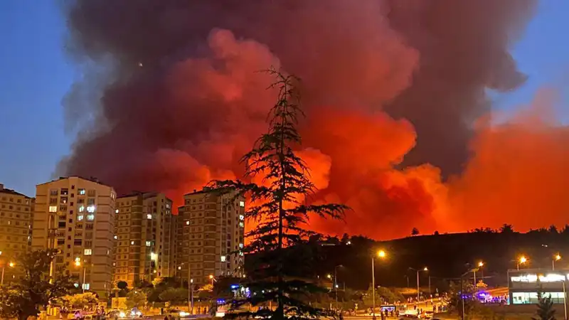 Bursa'da Yangınların Sebebi Ne? Şehir Tehlike Altında!