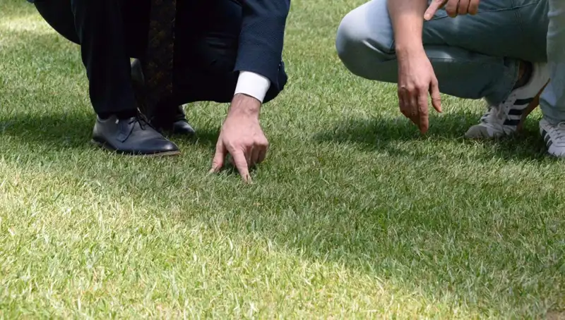 Stadyum Zemini Tartışmaların Odak Noktası: 10 Gün İçinde Tamamlanacak!