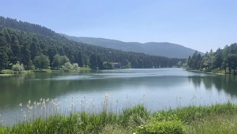 Bolu'nun Milli Parkları Rehine Almış Gibi: Ziyaretçi Akını!