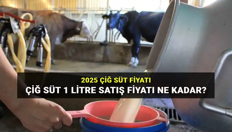 2025'te Çiğ Süt Fiyatları: Ulusal Süt Konseyi’nden Çarpıcı Açıklama!