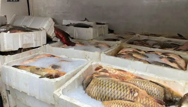 Kaçak Balık Avı Yapanların Cezası Yükseldi: Binlerce Lira Ödemeye Hazır Olun!