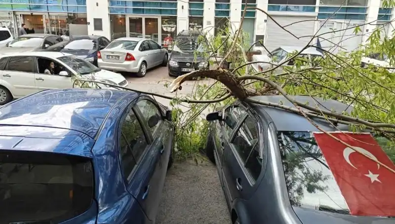 Kayseri'de Dalları Kıran Fırtına, Şehirde Hayatı Olumsuz Etkiledi