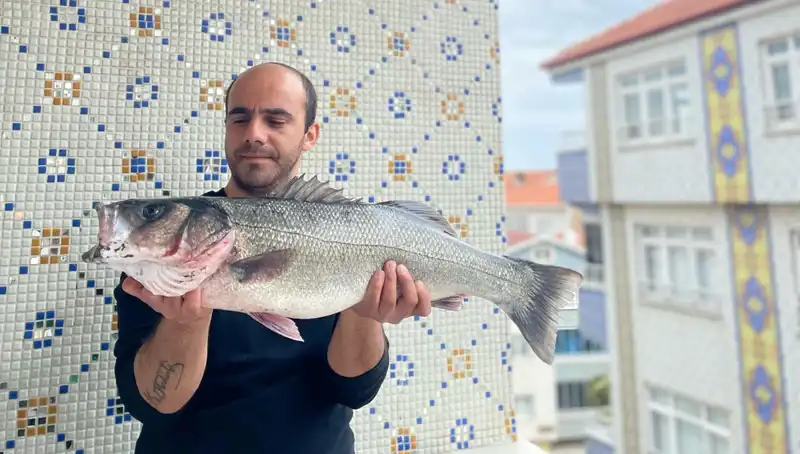 7,5 Kiloluk Dev Levrek Avı: Balıkçılar Şaşkına Döndü!